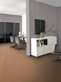 Teppichboden Vorwerk Essential 1027 ARENA Schlinge Schwarz 9H12 - Rollenbreite 400 cm