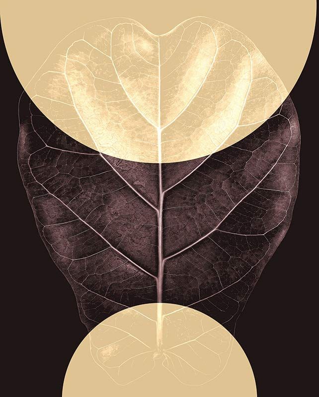 Komar Wandbild - Shadow Theatre  - Größe: 40 x 50 cm