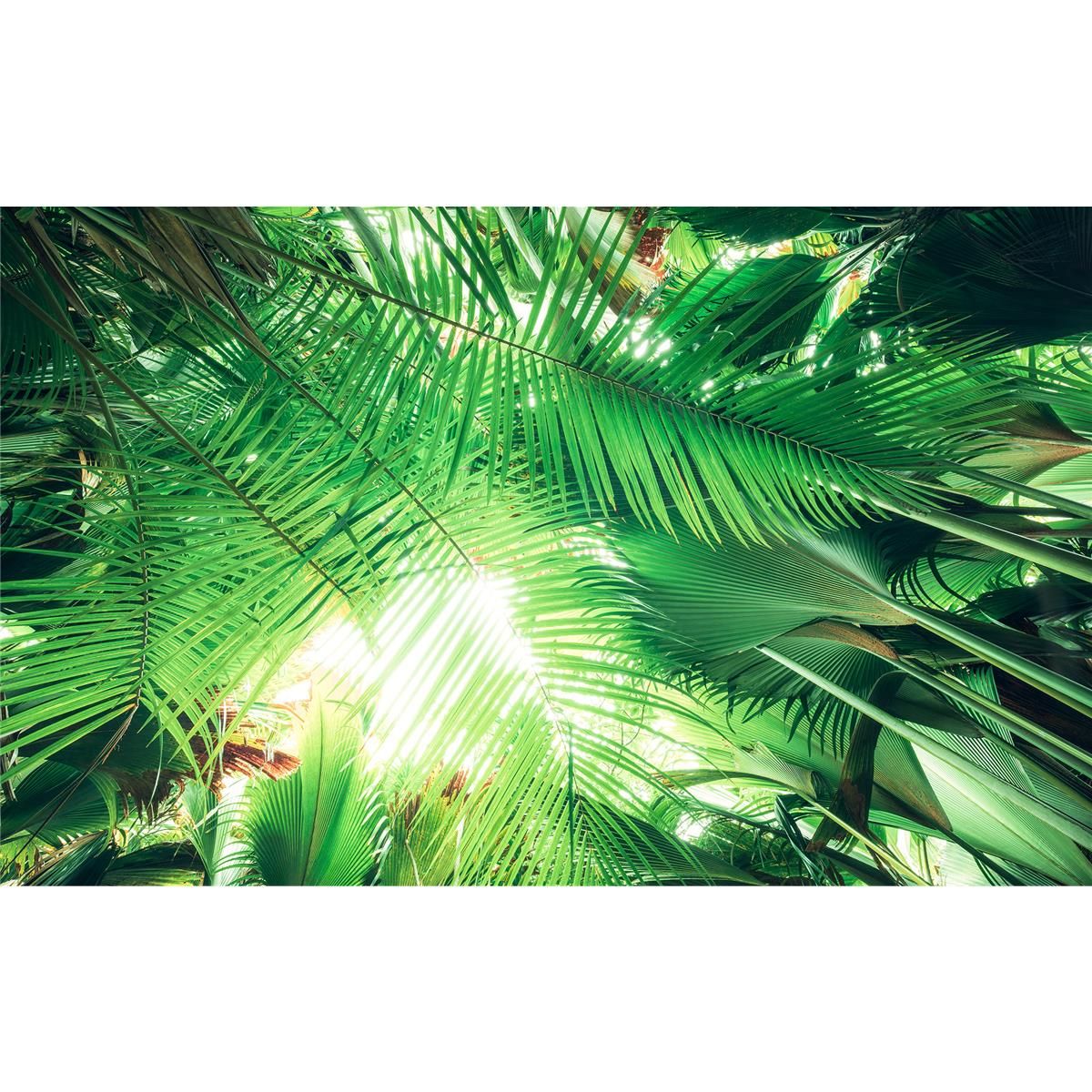 Vlies Fototapete - Dschungeldach - Größe 450 x 280 cm