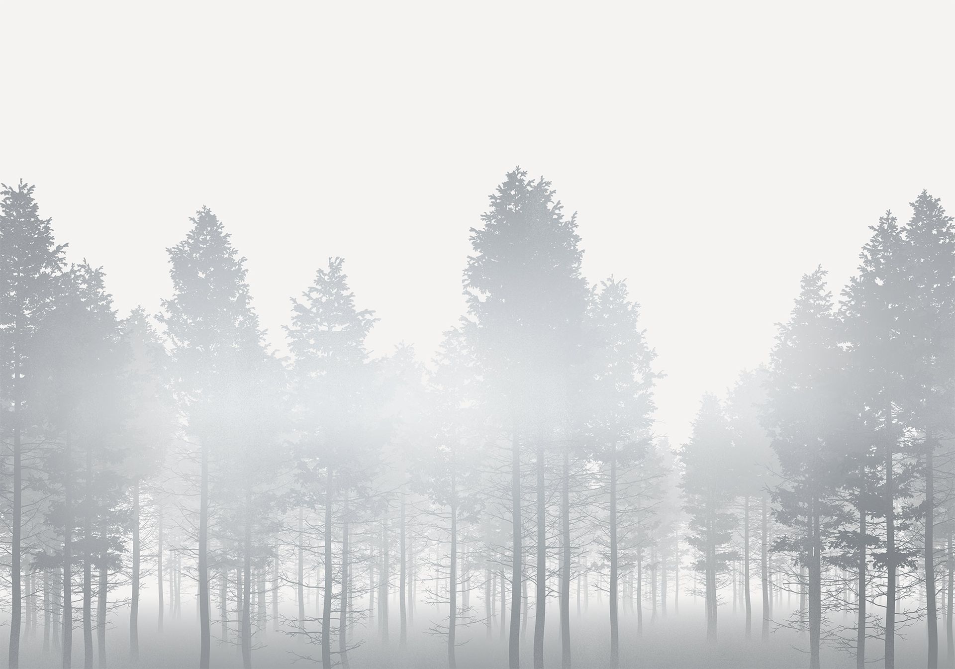 Vlies Fototapete - Silver Haze - Größe 400 x 280 cm