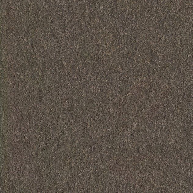 Teppichboden Infloor-Girloon Chiffon/Pearl Velours Braun 870 uni - Rollenbreite 400 cm