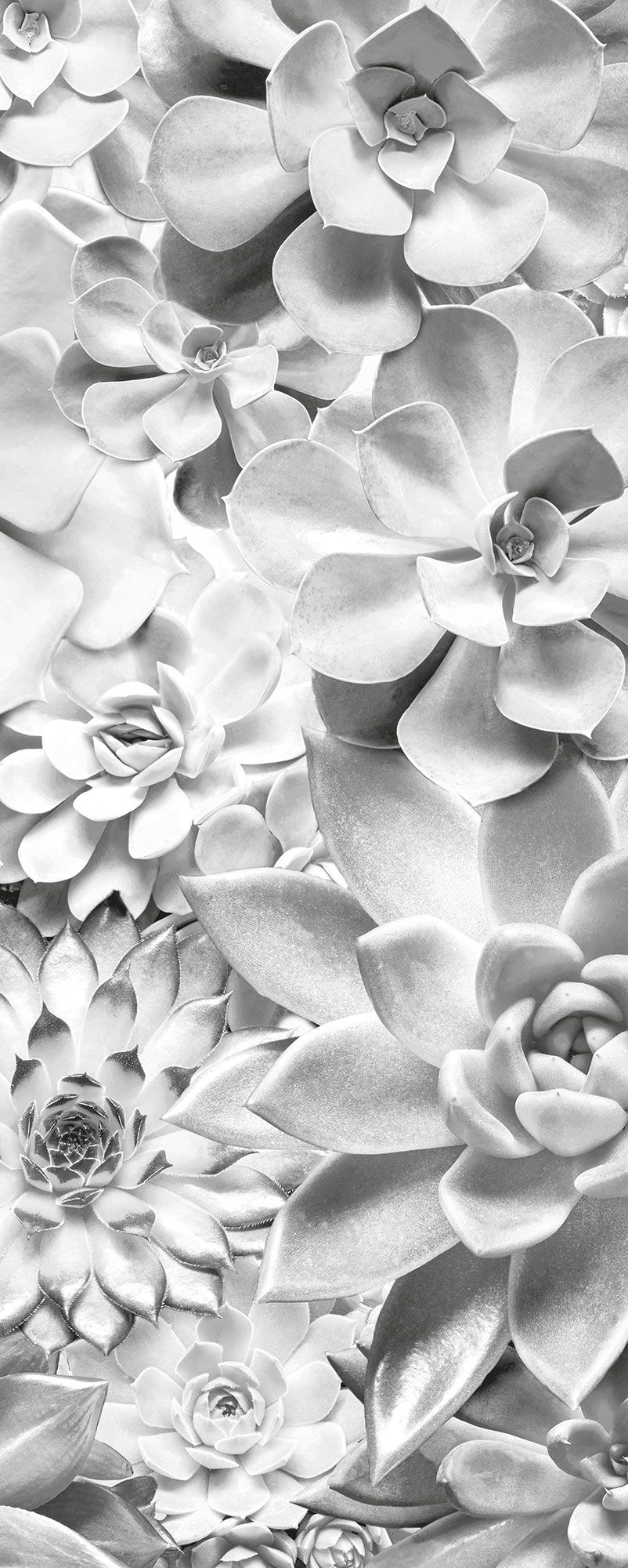 Vlies Fototapete - Shades Black and White Panel - Größe 100 x 250 cm