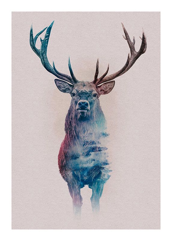 Komar Wandbild - Animals Forest Deer - Größe: 50 x 70 cm
