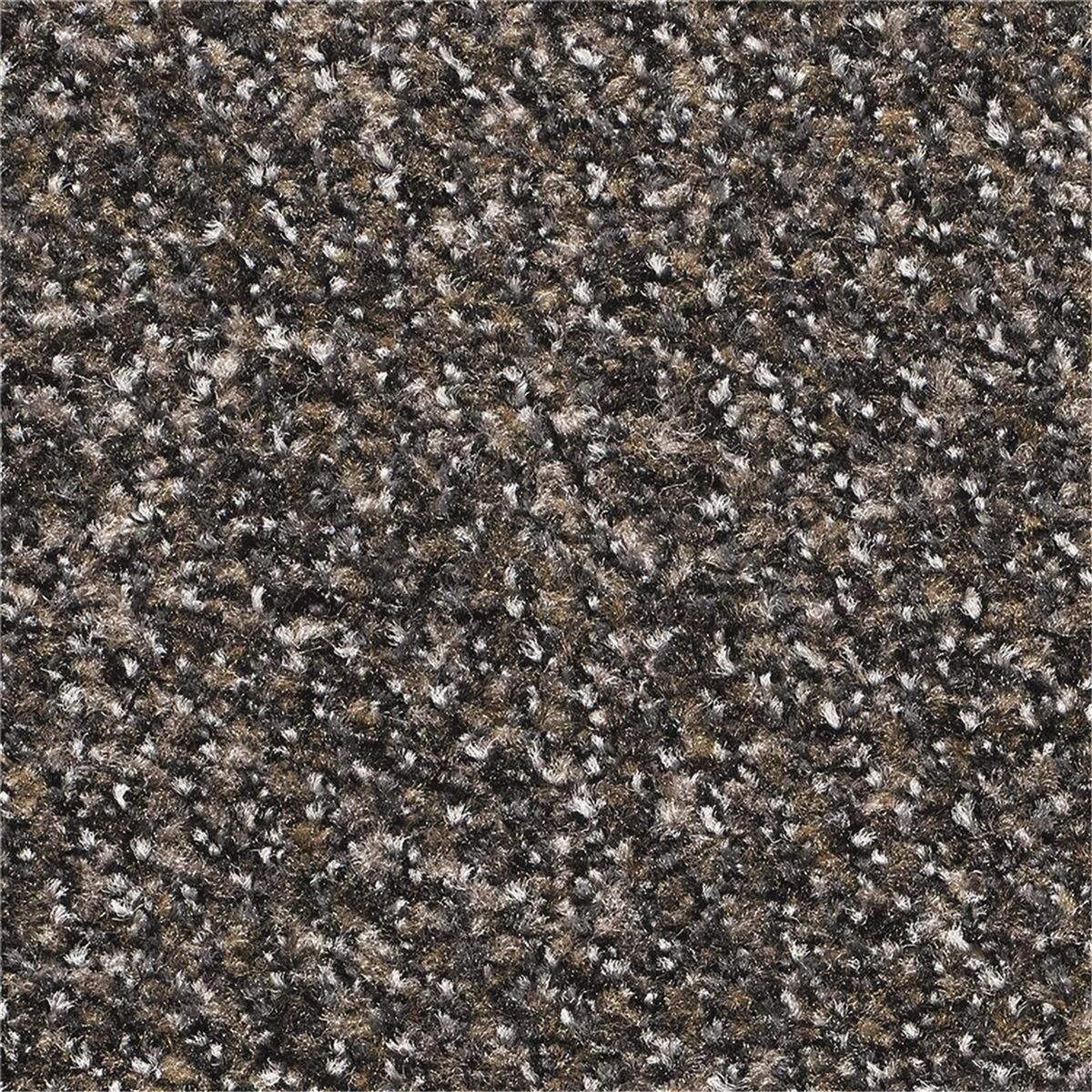 Sauberlauf COLOR PLUS - Rollenbreite 200, 130 und 90 cm