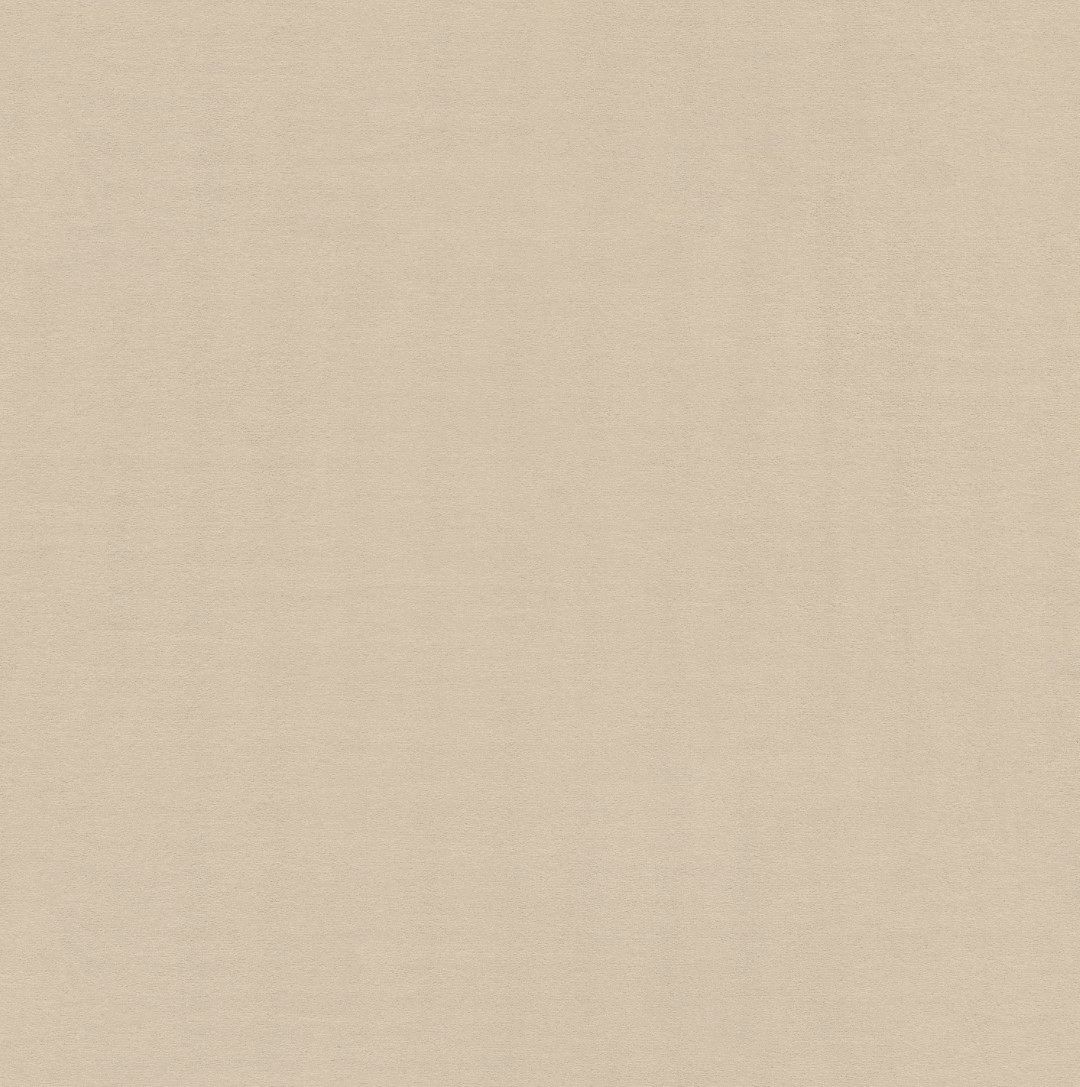 Beige 6C85