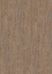 Western Spruce
