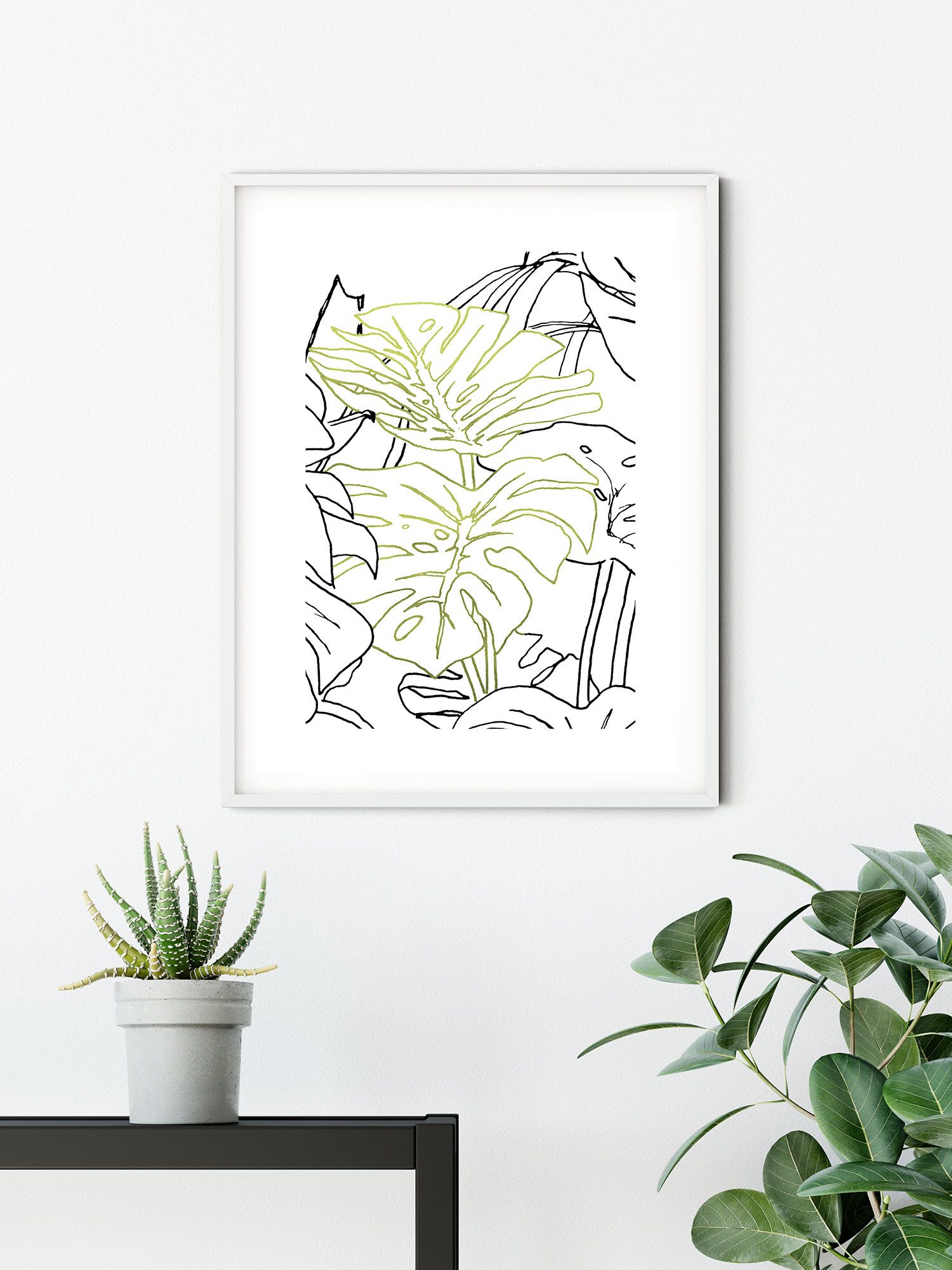 Komar Wandbild - Monstera Borsigiana - Größe: 50 x 70 cm