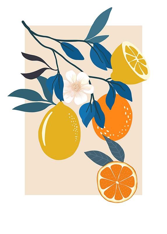 Komar Wandbild - Illustration Finest Fruits  - Größe: 50 x 70 cm