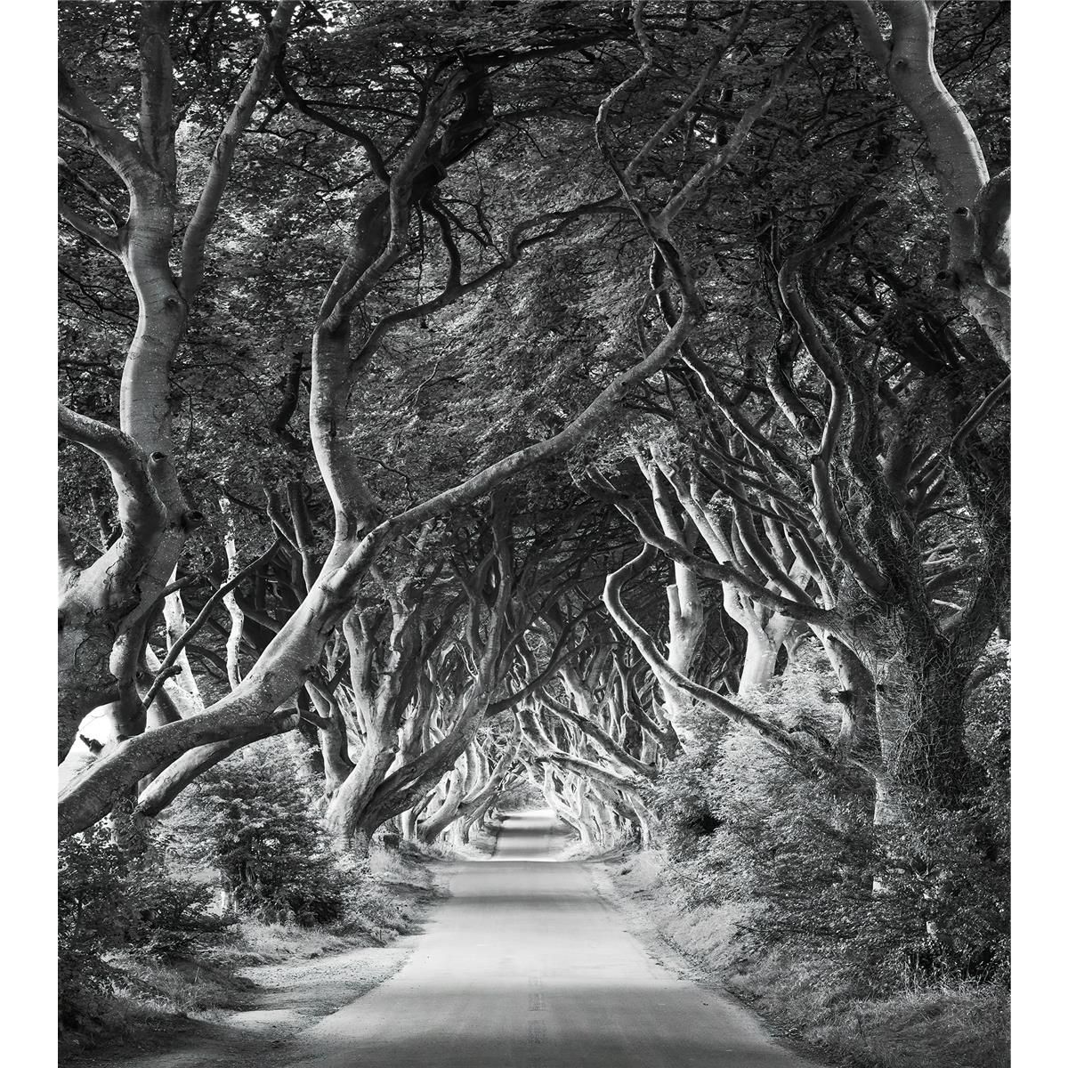 Vlies Fototapete - Forevenue - Größe 250 x 280 cm