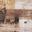 Beige 017-230