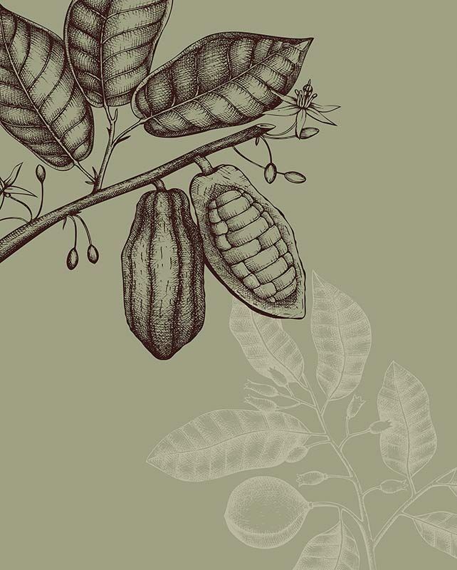 Komar Wandbild - Wild Cocoa  - Größe: 40 x 50 cm