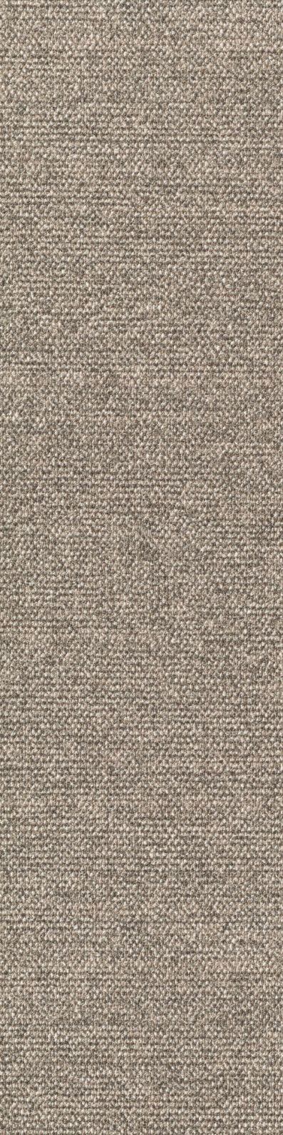 Teppichboden Sera PL 25x100 cm