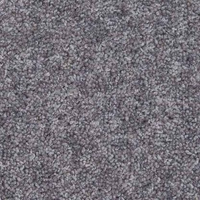 TB13-TiscaBellavista646