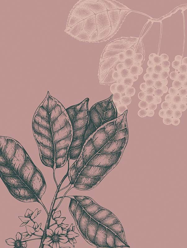 Komar Wandbild - Wild Berry  - Größe: 30 x 40 cm