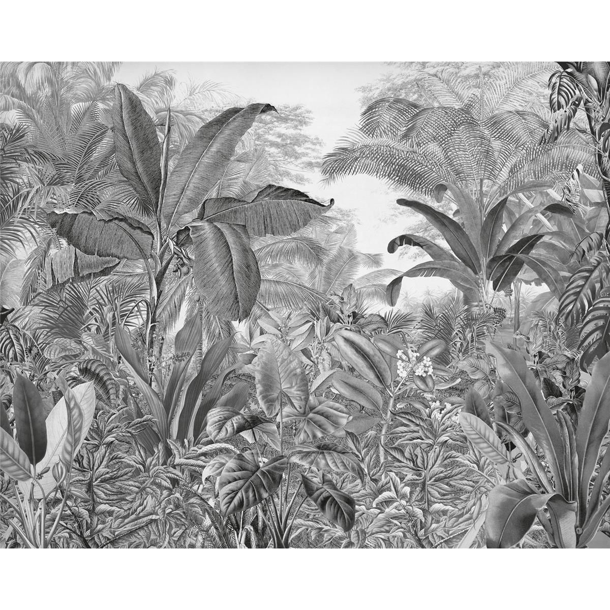 Vlies Fototapete - Roraima - Größe 350 x 280 cm