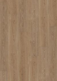 DESIGN 555 2,5mm/NS 0,55mm Dryback