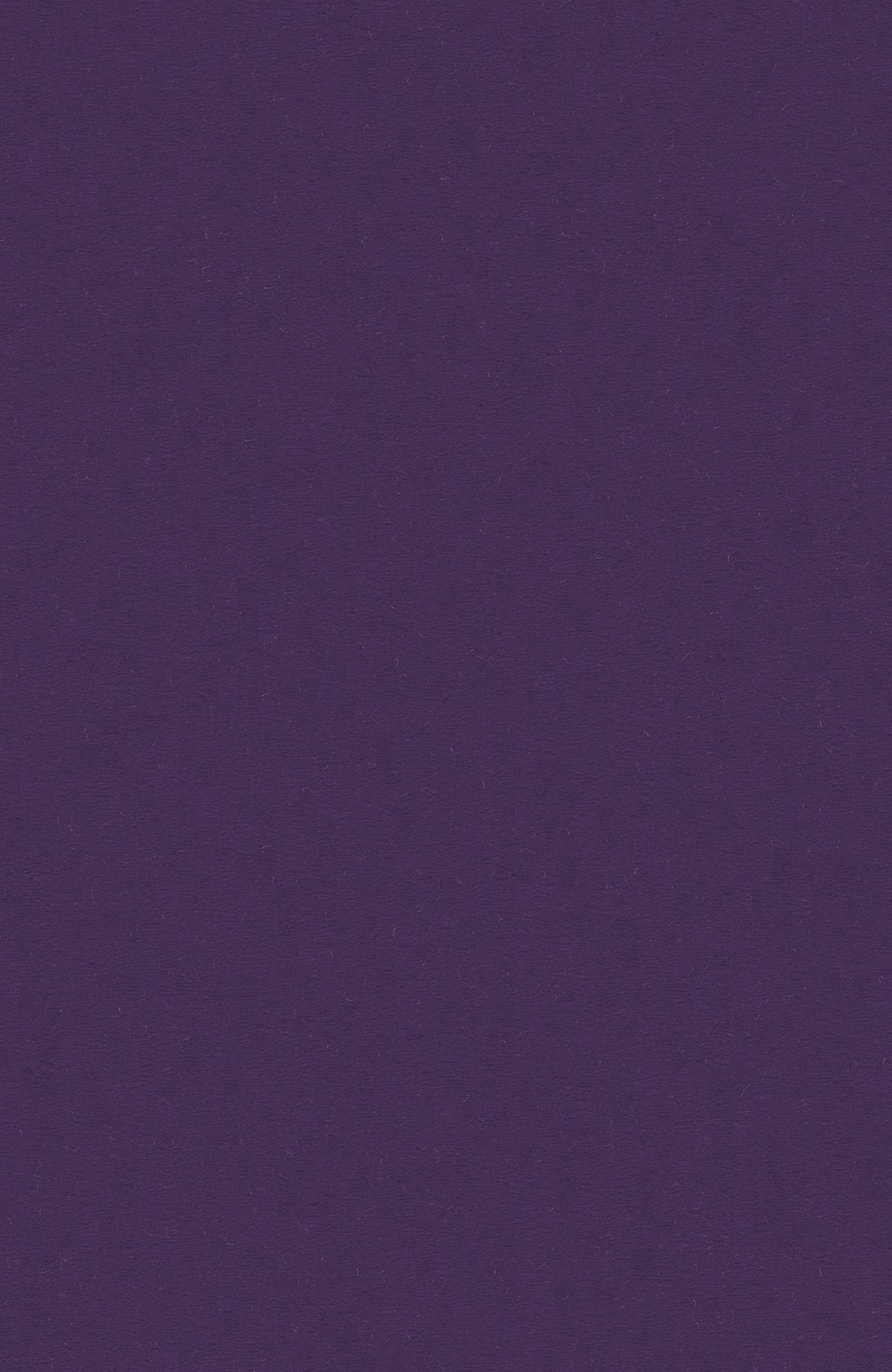 Teppichboden Vorwerk Passion 1000 MODENA Velours Lila 3S55 - Rollenbreite 500 cm