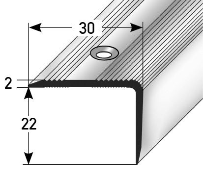 JOKA Treppenkante gebohrt Alu eloxiert 100 x 3 x 2 cm