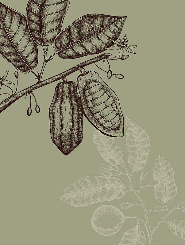 Komar Wandbild - Wild Cocoa  - Größe: 30 x 40 cm