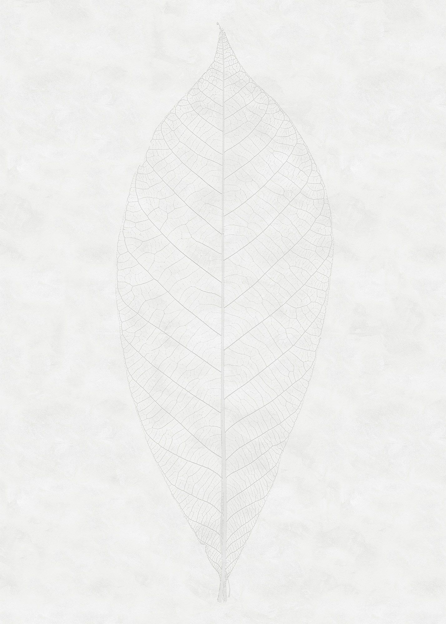 Vlies Fototapete - Decent Leaf - Größe 200 x 280 cm