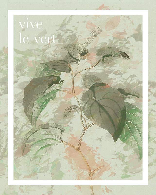 Komar Wandbild - Vive le vert  - Größe: 40 x 50 cm