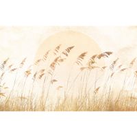 Vlies Fototapete - Dune Grass - Größe 400 x 250 cm