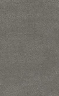 Teppichboden Vorwerk Superior 1067 MIRA Hochflor Grau 5X98 - Rollenbreite 400 cm