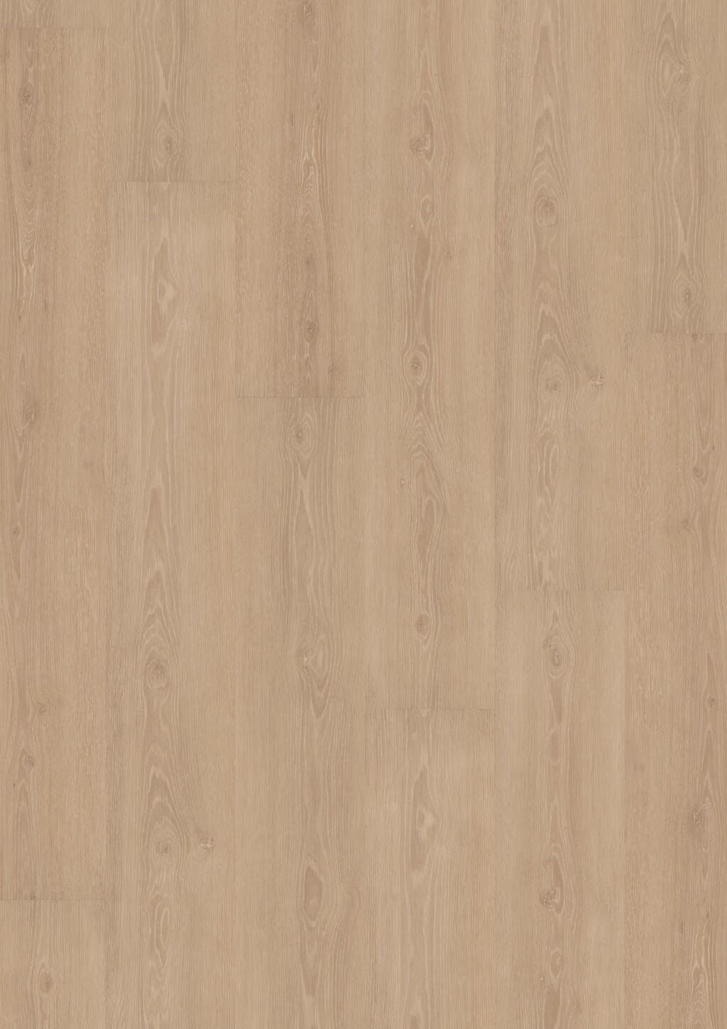 Perfect Beige Oak