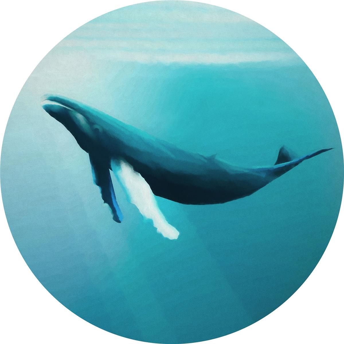Selbstklebende Vlies Fototapete/Wandtattoo - Whale Watching - Größe 125 x 125 cm