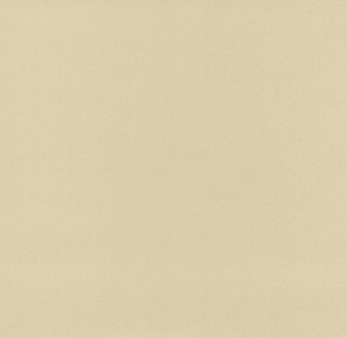 Beige 6C83