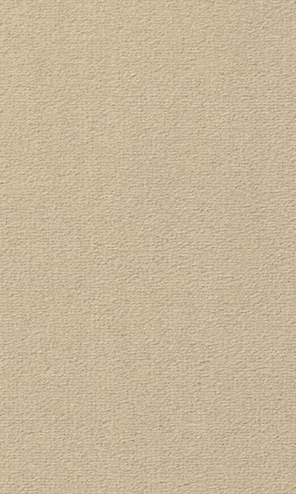 Beige 8E92