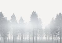 Vlies Fototapete - Silver Haze - Größe 400 x 280 cm