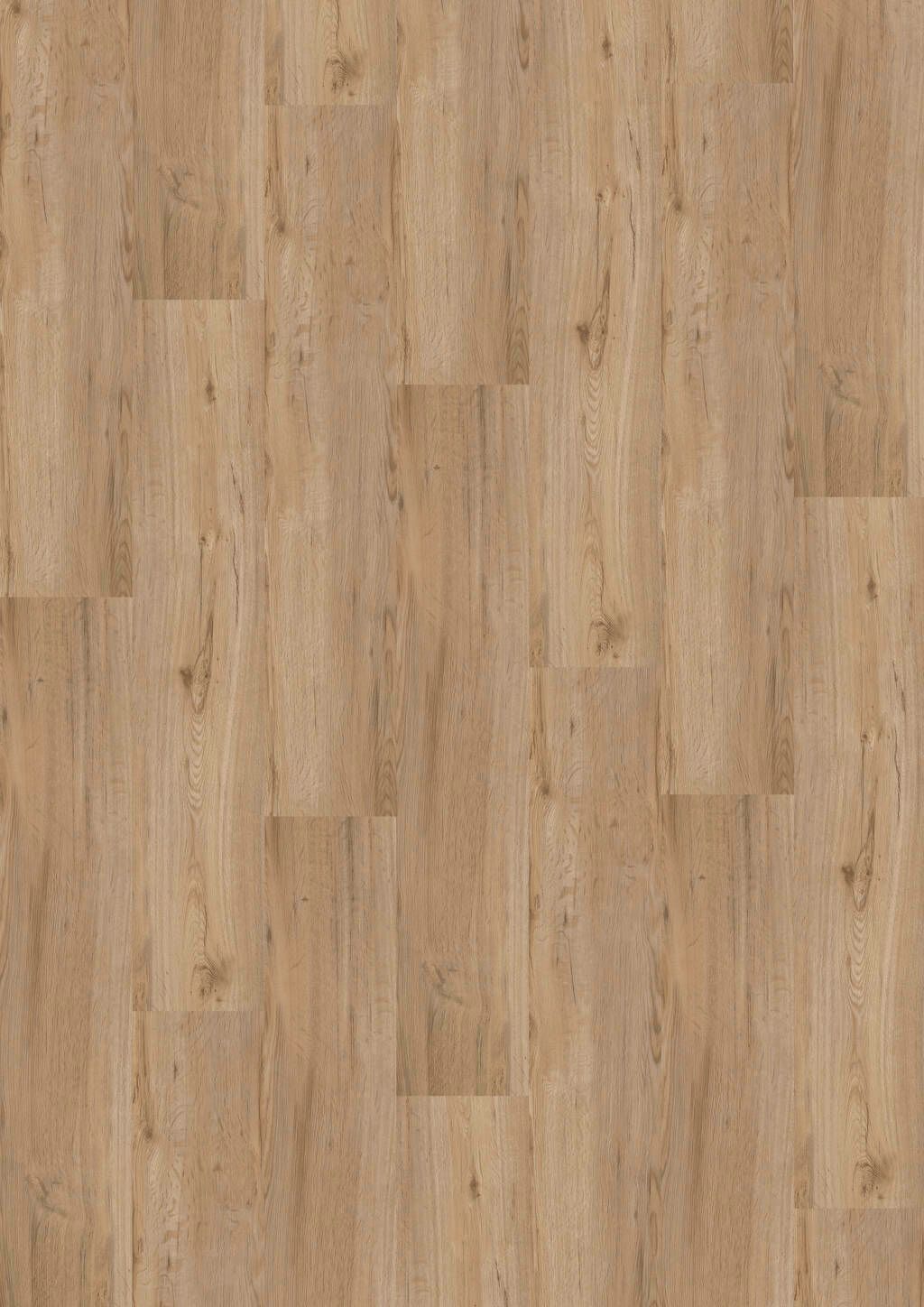 TB01-DESIGN-230-Dryback
