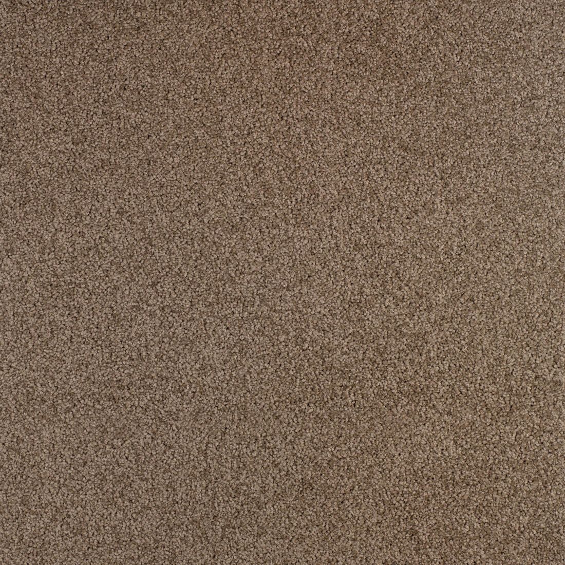 Teppichboden Gloria FL 50x50cm Farbe 750 50 x 50 x 0,87 cm