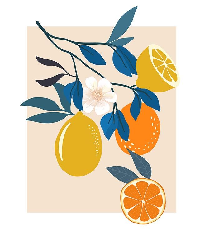 Komar Wandbild - Illustration Finest Fruits  - Größe: 40 x 50 cm