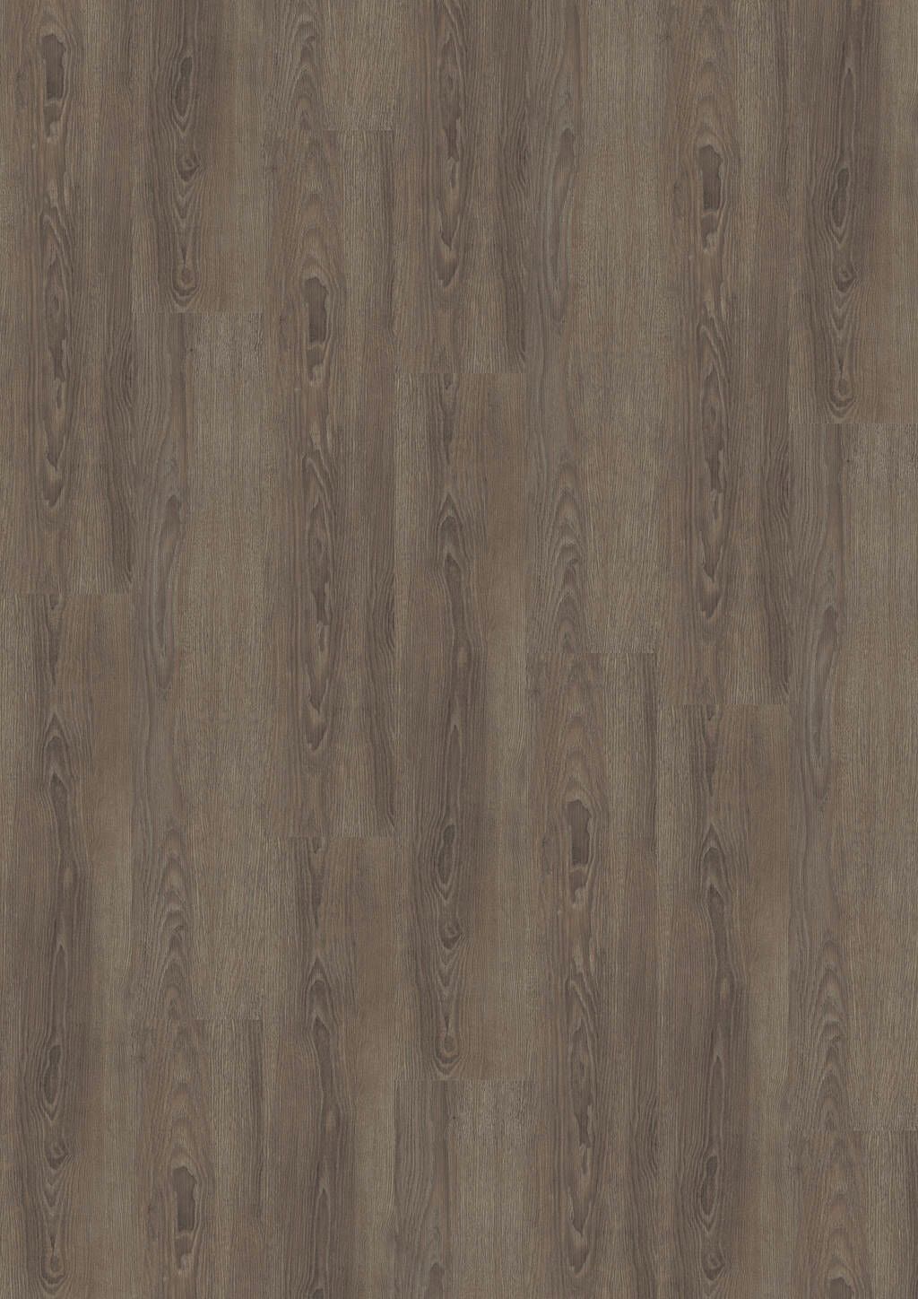 TB01-DESIGN-230-Dryback