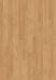 2818 Blond Beech