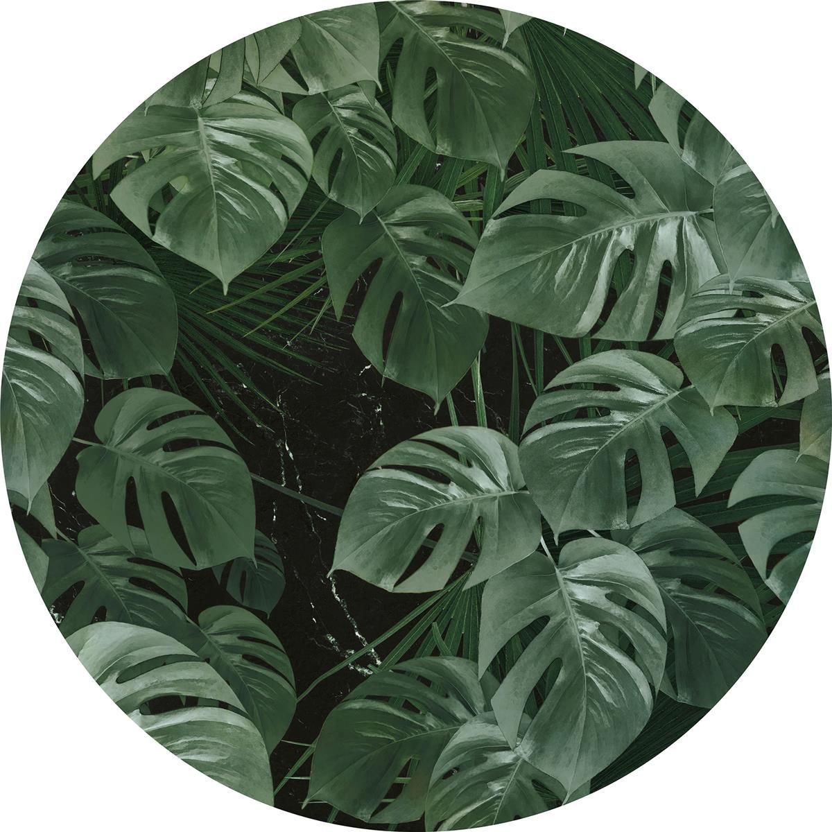 Selbstklebende Vlies Fototapete/Wandtattoo - Novel Monstera - Größe 125 x 125 cm