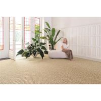 Teppichboden Tasibel Broadway 2070/78 Taupe 100 % Sisal - Rollenbreite 400 cm