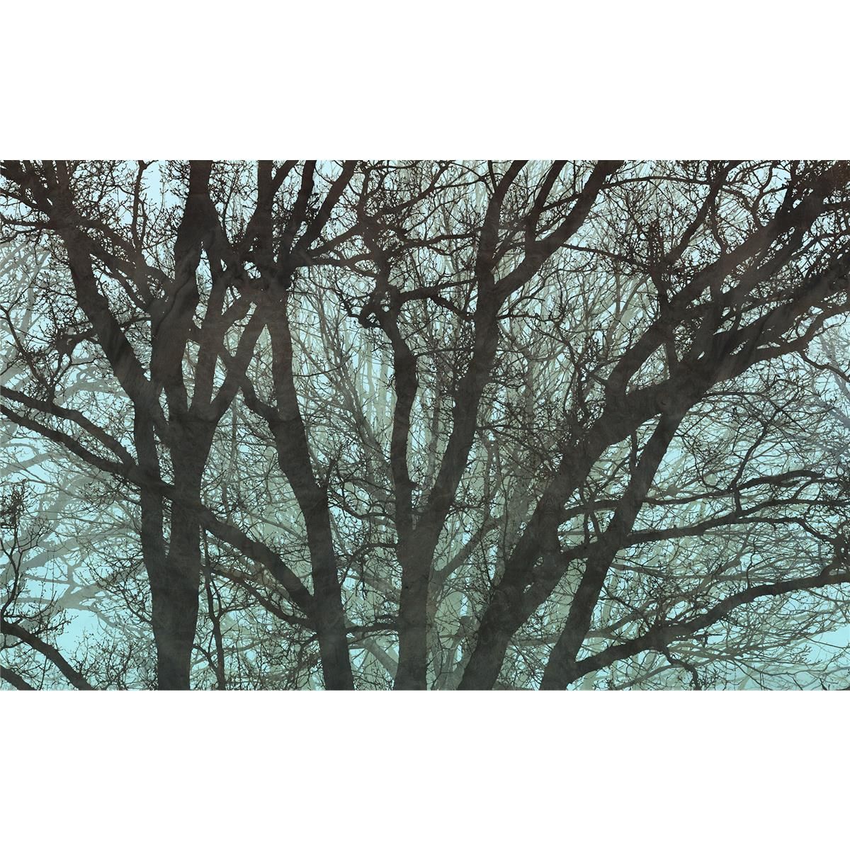 Vlies Fototapete - Whispering Woods  - Größe 400 x 250 cm