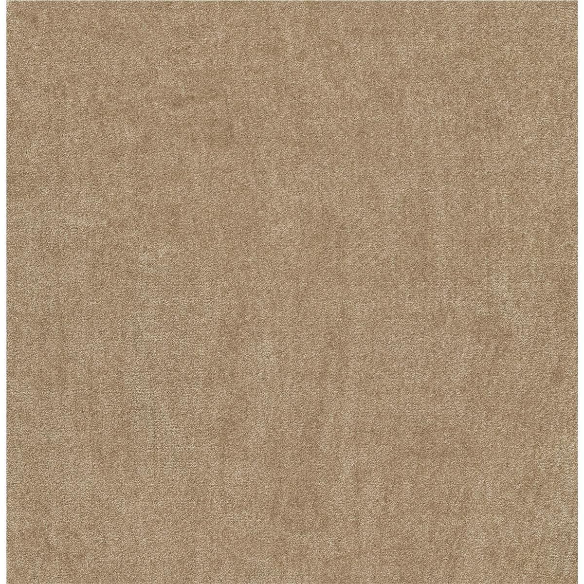 Beige 2F38