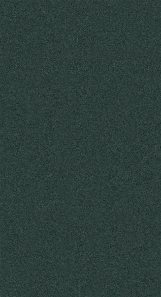 Teppichboden DAS TEPPICHWERK Exclusive 1009 ELARA Shag Frisé