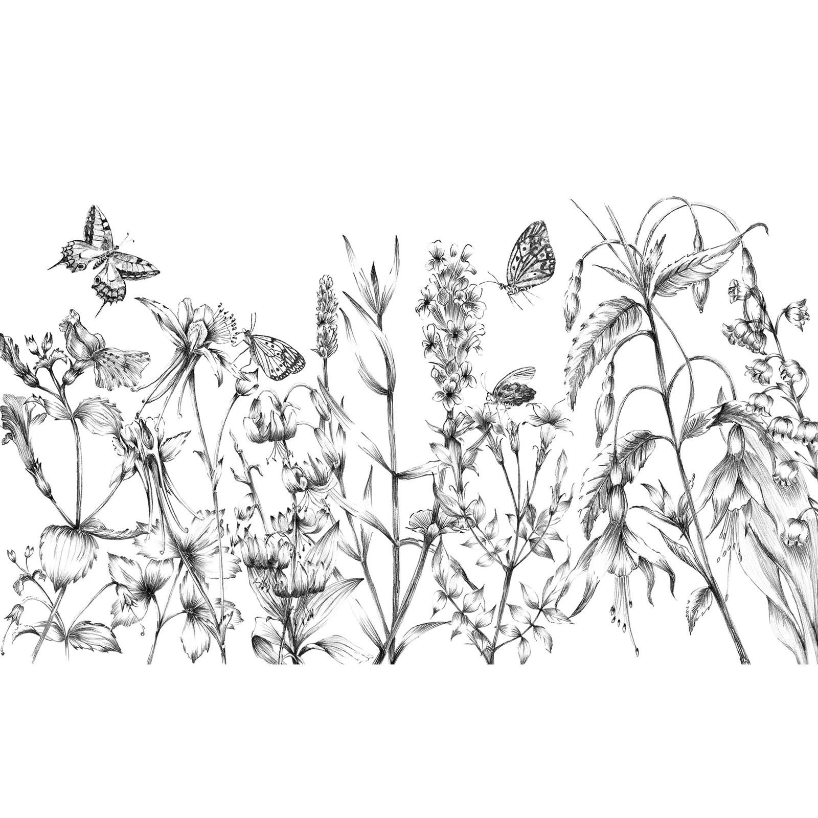 Vlies Fototapete - Butterfly Field  - Größe 400 x 250 cm