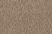 Taupe-8L46