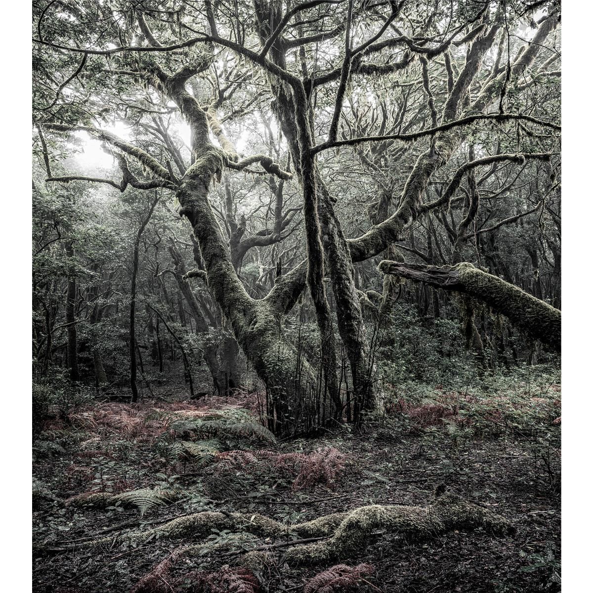 Vlies Fototapete - Das Model - Größe 250 x 280 cm