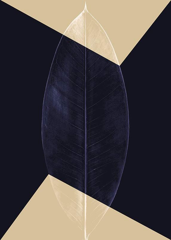 Komar Wandbild - Lotus Theatre  - Größe: 50 x 70 cm