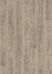 Grey Pine