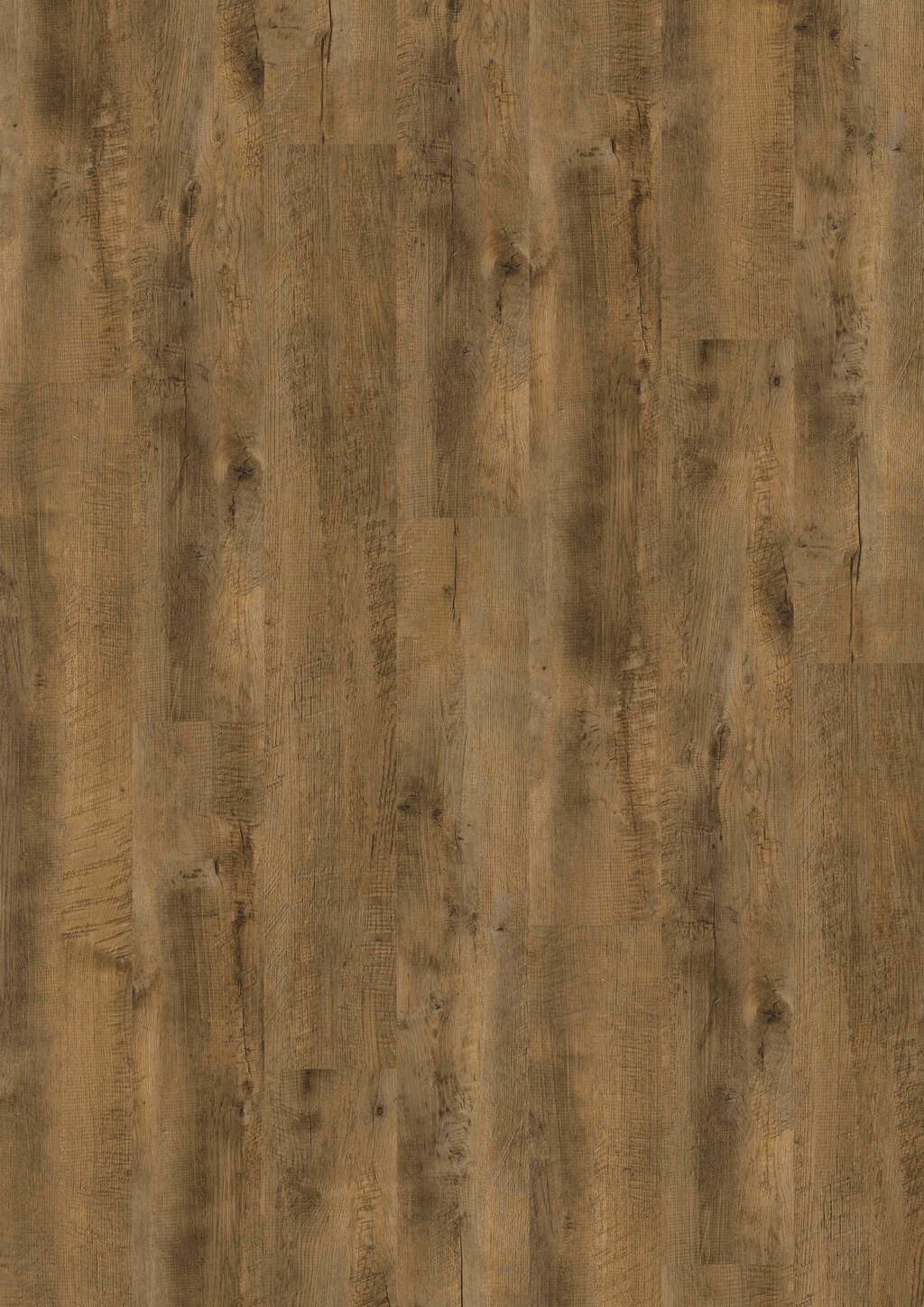 TB01-DESIGN-230-Dryback