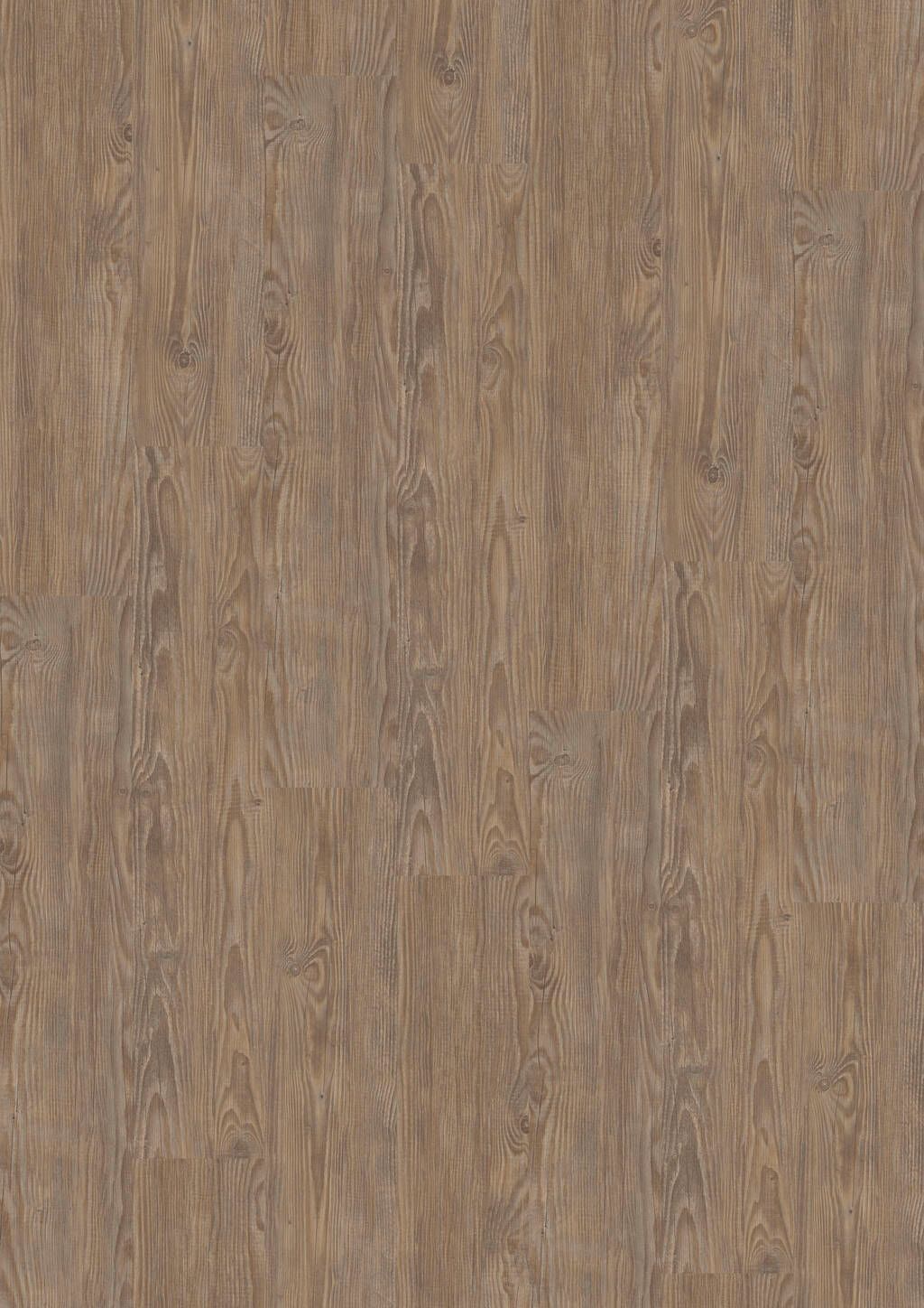 TB01-DESIGN-230-Dryback