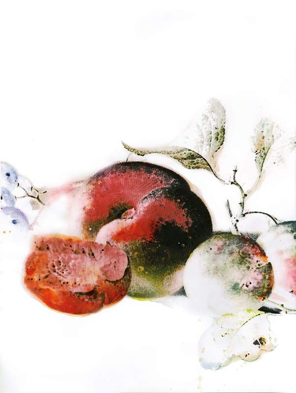 Komar Wandbild - Dessert Fruité  - Größe: 30 x 40 cm
